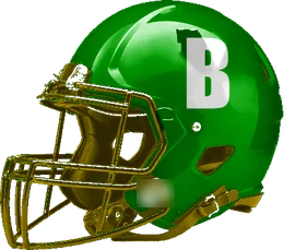 Blum helmet