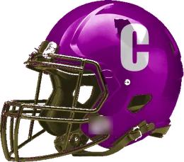 Crane helmet