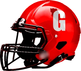 Groom helmet