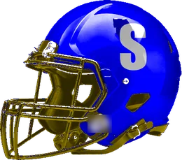 Sunnyvale helmet