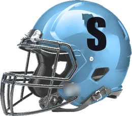 Sweeny helmet
